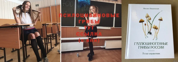 ALPHA PVP Беломорск
