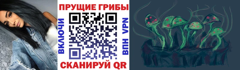 blacksprut как войти  Курганинск  Псилоцибиновые грибы Cubensis 